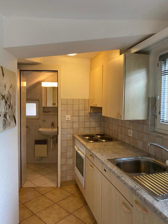 Casa Sibylle Studio - Piccolo Paradiso Minusio Ngoại thất bức ảnh